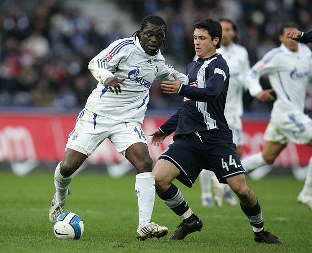 本人共同选 本人共同选